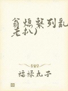 翁熄系列乱 (老扒)