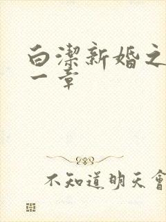 白洁新婚之夜第一章