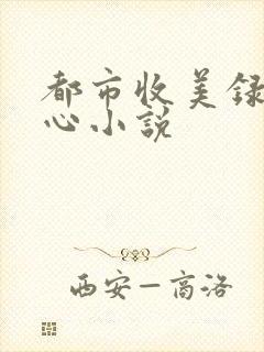 都市收美录宁素心小说