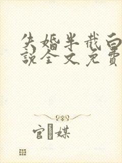 失婚半截白菜小说全文免费阅读