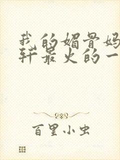 我的媚骨妈妈林轩最火的一句