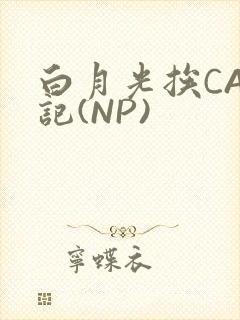 白月光挨CAO记(NP)