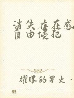 消失存在感消失自由侵犯