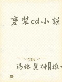 变装cd小说
