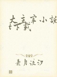 大主宰小说txt下载