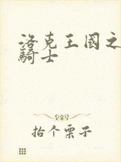 洛克王国之圣龙骑士