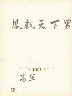 凤戏天下男