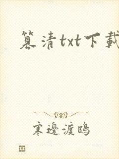 篡清txt下载