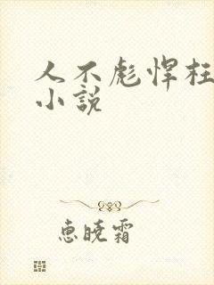 人不彪悍枉少年小说