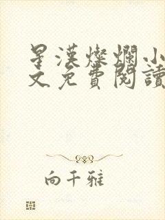 星汉灿烂小说全文免费阅读