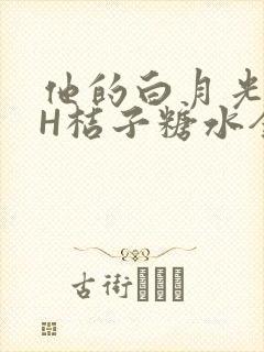 他的白月光HVH桔子糖水全文