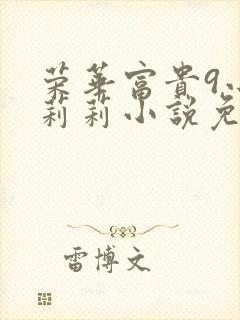 荣华富贵9小王莉莉小说免费阅读