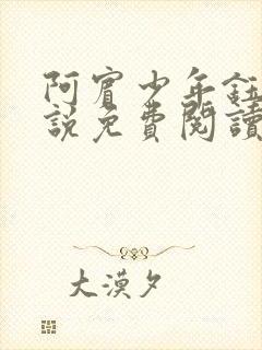 阿宾少年钰慧小说免费阅读笔趣阁