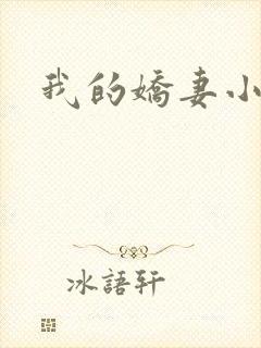 我的娇妻小说