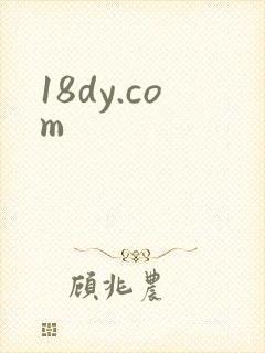 18dy.com