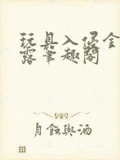 玩具入侵金银花露笔趣阁