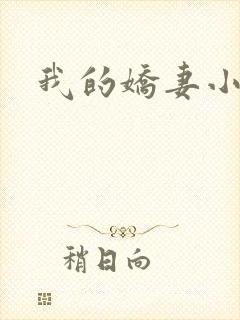 我的娇妻小说