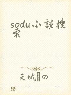 sodu小说搜索