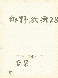 乡野欲潮28章