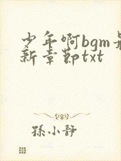 少年啊bgm最新章节txt