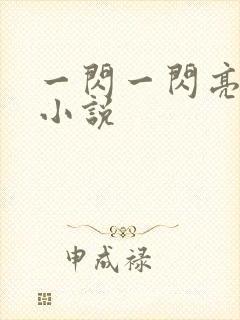 一闪一闪亮星星小说