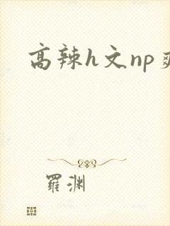 高辣h文np爽