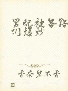 男配被各路大佬们爆炒