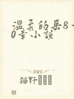 温柔的岳8一20章小说