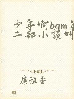 少年啊bgm第二部小说叫什么