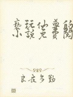 亵玩仙尊的道侣小说免费阅读