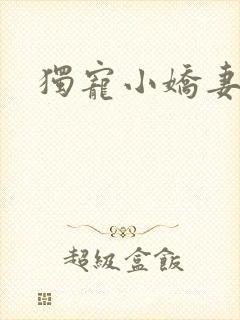 独宠小娇妻