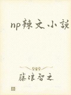 np辣文小说