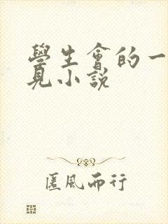 学生会的一己之见小说