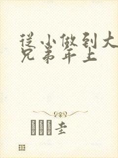 从小做到大骨科兄弟年上