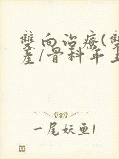 双向治疗(双/产/骨科年上)