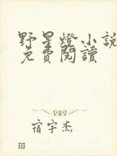 野星灯小说全文免费阅读