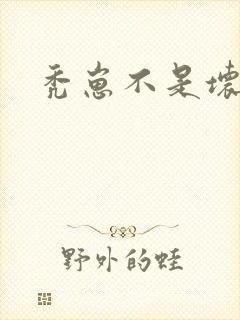 秃崽不是坏女人