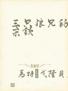 三只狼兄的宠妻宋钦