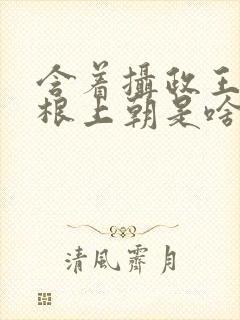 含着摄政王的紫根上朝是啥小说