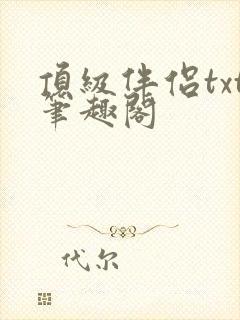 顶级伴侣txt笔趣阁