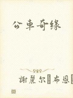 公车奇缘