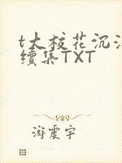 t大校花沉浮录续集TXT