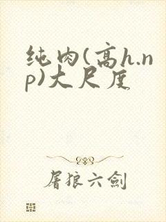 纯肉(高h.np)大尺度