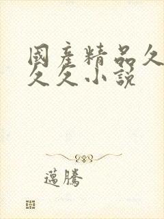 国产精品久久久久久小说