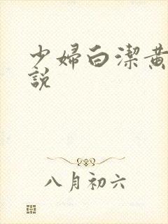 少妇白洁黄色小说