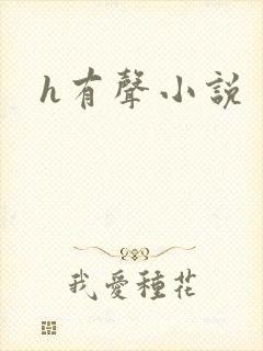 h有声小说