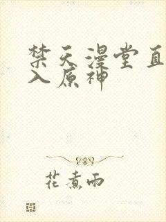 禁天漫堂直接进入原神