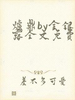 炉鼎by金银花露全文免费阅读笔趣阁