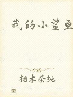 我的小鲨鱼