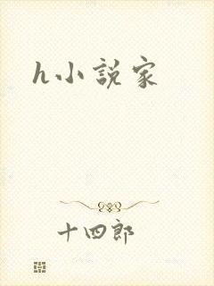 h小说家